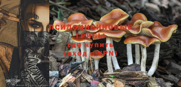 меф Саяногорск