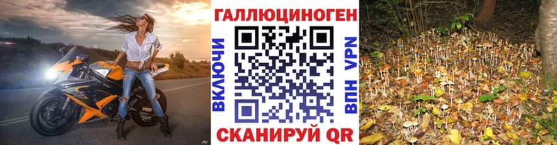 Псилоцибиновые грибы ЛСД площадка наркотические препараты Светлый