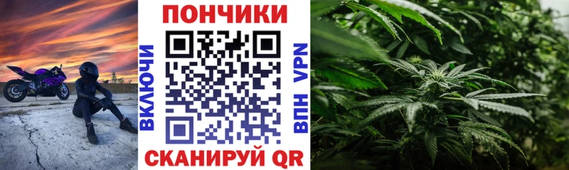 Бошки Шишки план  Светлый 